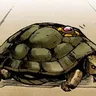 Coco Jumbo the turtle from Golden Wind